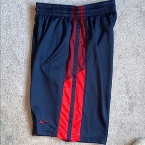 Men’s Nike shorts size Large